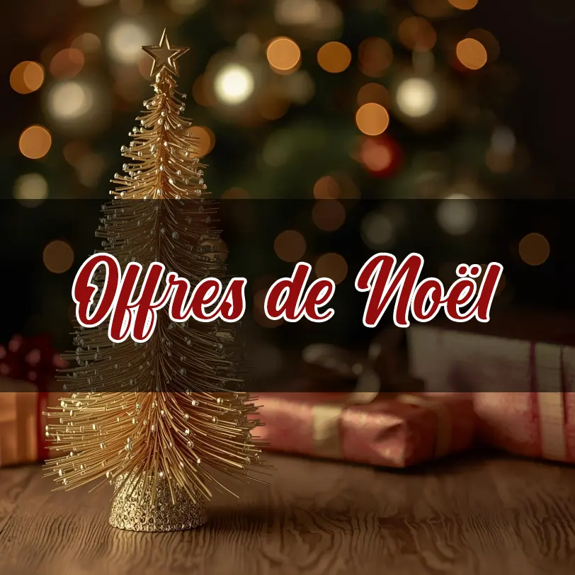 Offres de Noël